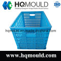 HDPE Customized Plastic Crate Mould for Storage with ISO Certification